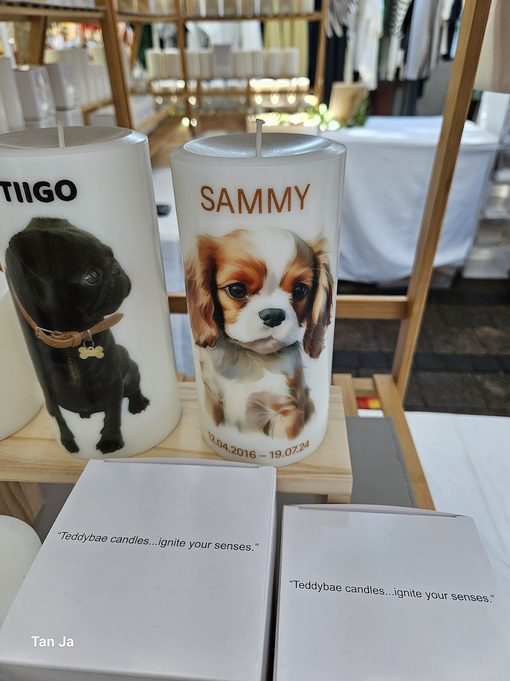 Teddybae | Handmade Candles Australia | 25 Bungoona Ave, Elanora Heights NSW 2101, Australia | Phone: 0404 239 170