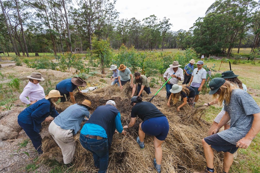Chaffin Creek Farm | 233 Firth Heinz Rd, Pillar Valley NSW 2462, Australia | Phone: 0423 325 281
