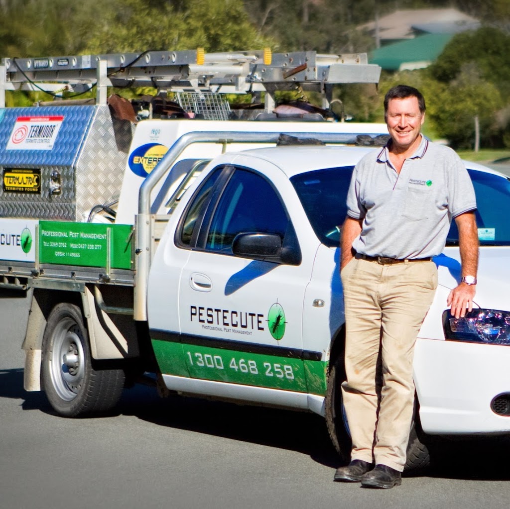 Pestecute Pest and Wild Life Control | home goods store | 8, Parsons Close, Pelican Waters, Sunshine Coast QLD 4551, Australia | 0437238277 OR +61 437 238 277