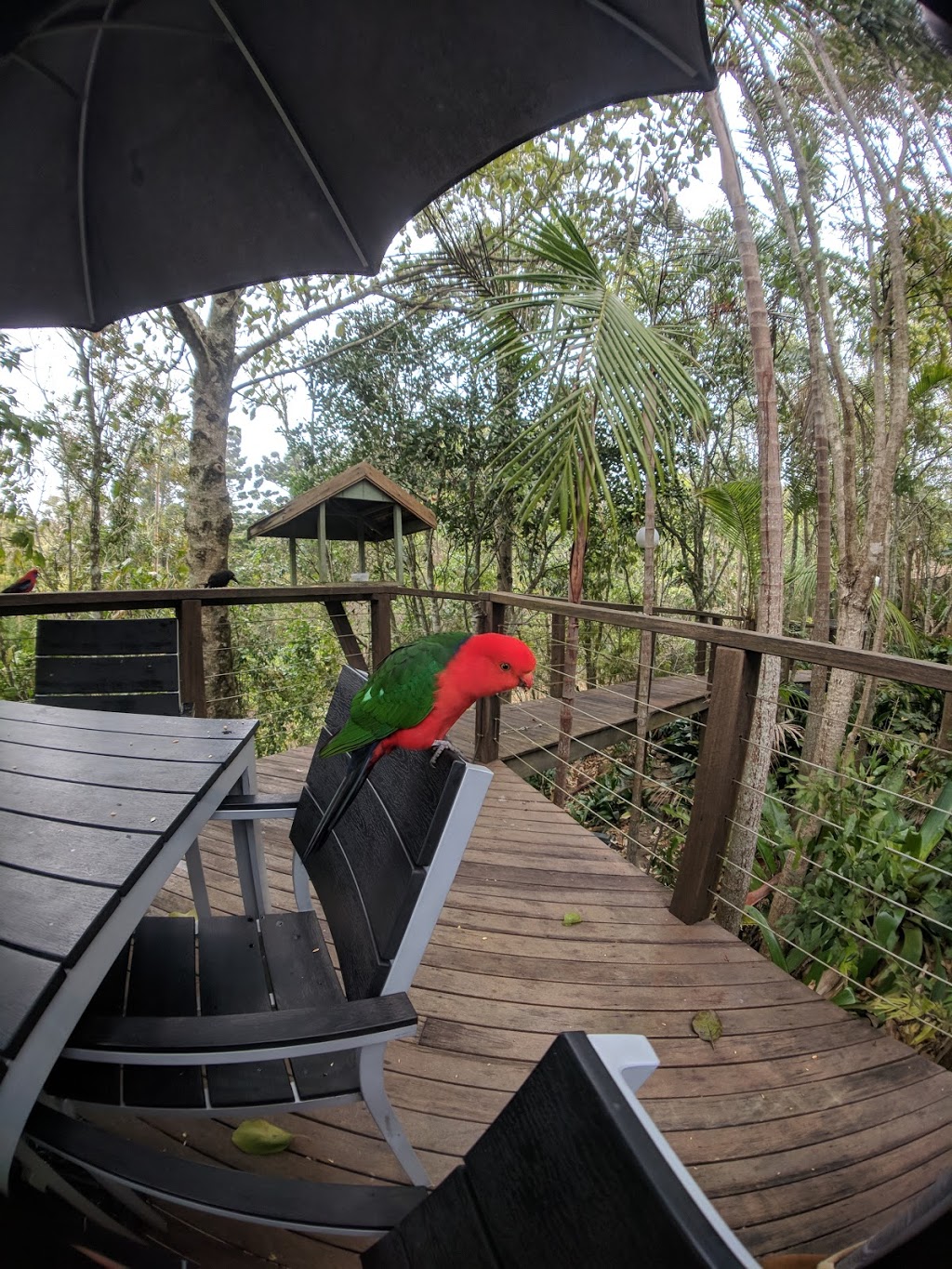 Big Picture | lodging | 52 Bowerbird Ln, Bunya Mountains QLD 4405, Australia | 0746683126 OR +61 7 4668 3126