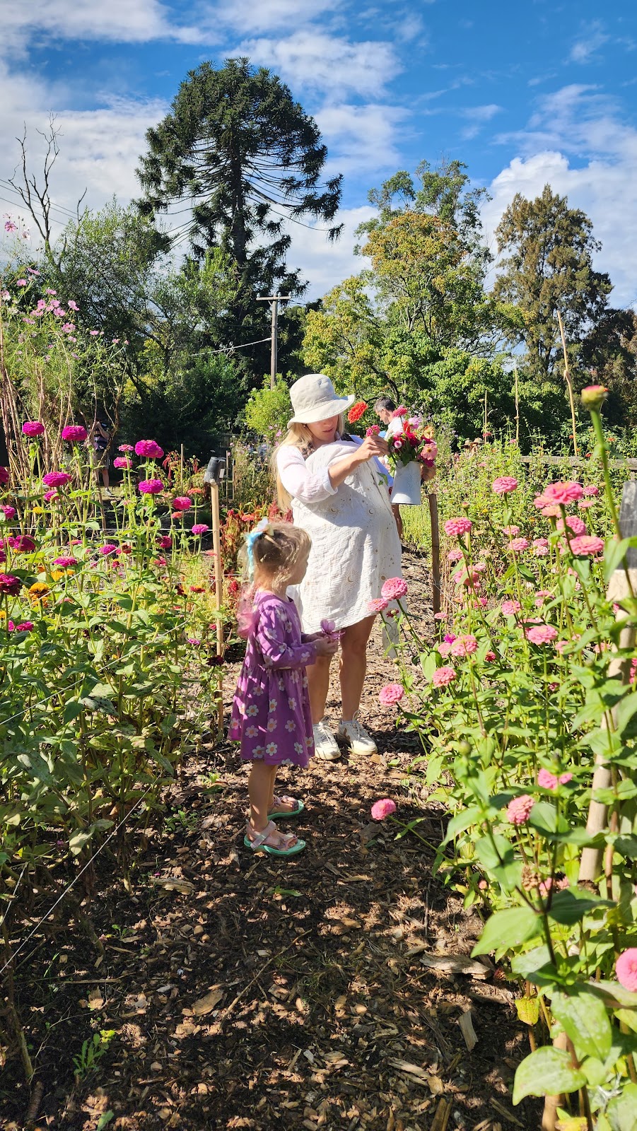 Weeping Willow Farm | Palmdale Rd, Palmdale NSW 2258, Australia | Phone: 0494 382 283