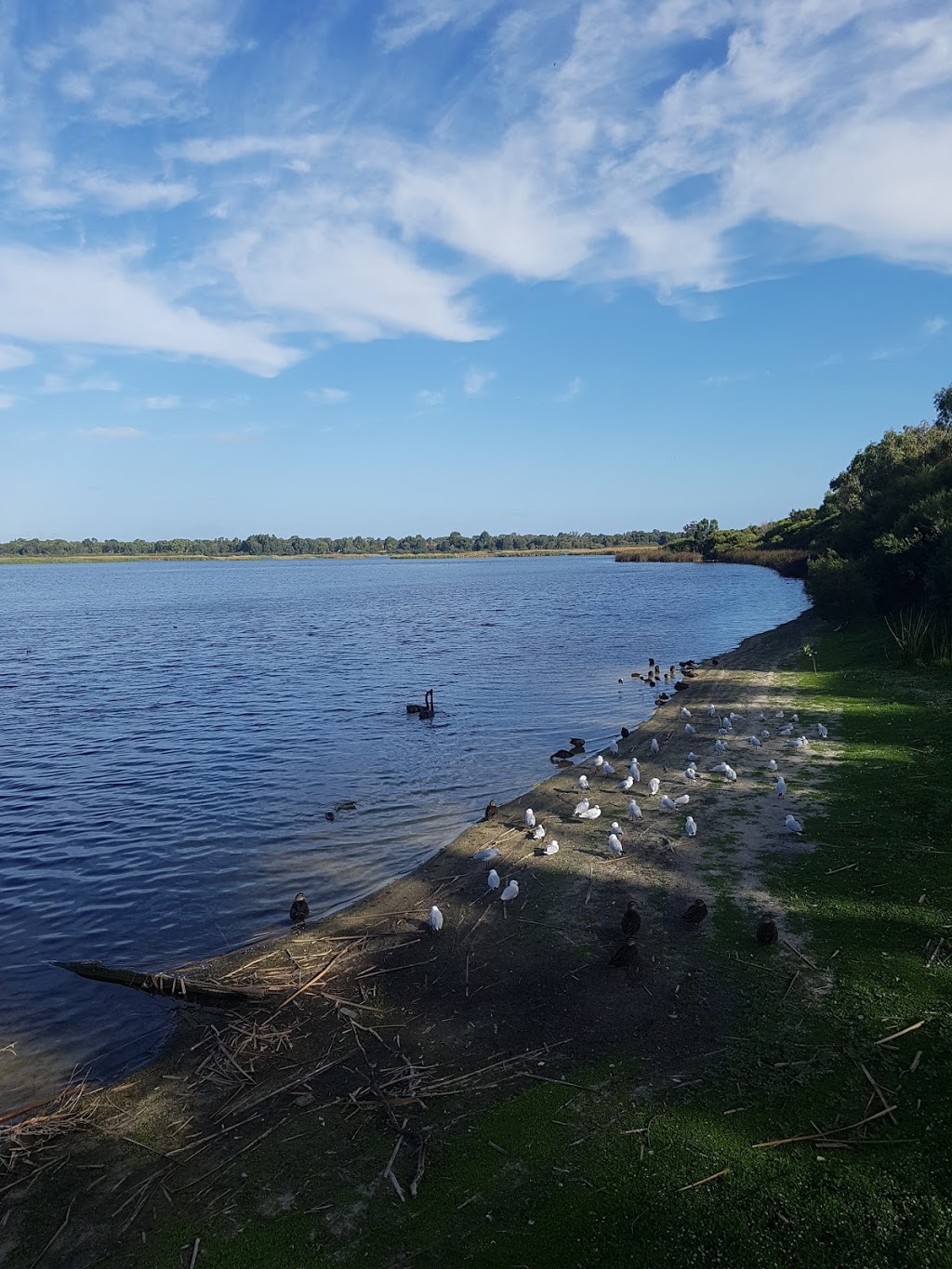 Beeliar Regional Park | North Lake WA 6163, Australia