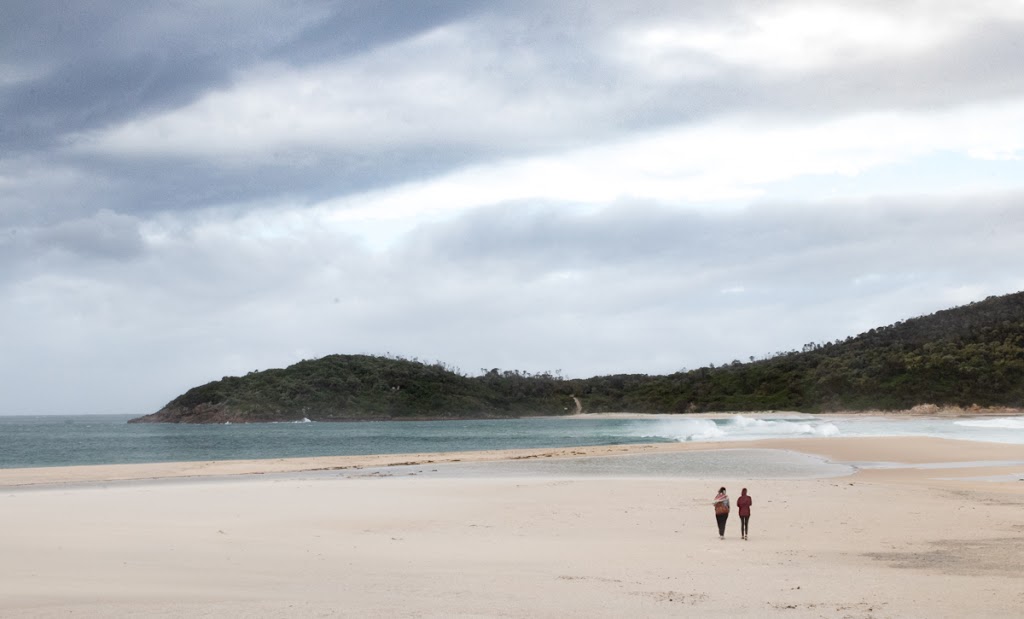 Shark Island Nature Reserve | New South Wales, Australia