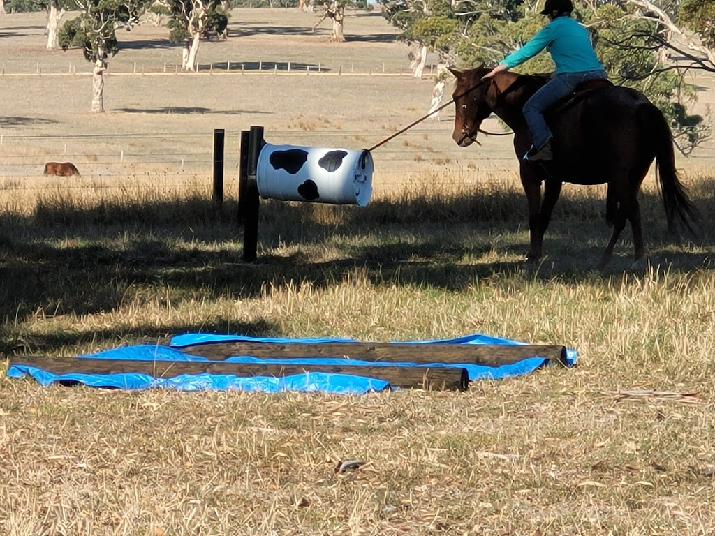 Unicorn Agility Park | Sawpit Gully Rd, Lower Inman Valley SA 5211, Australia | Phone: 0413 799 599