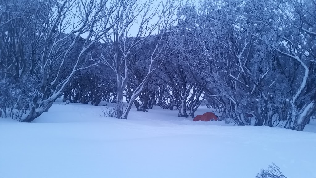 Edmondson Hut Campground | Falls Creek VIC 3699, Australia