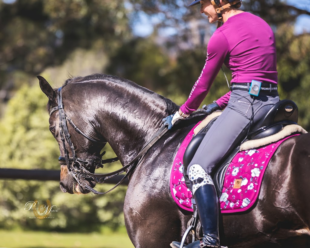 LL Equestrian | Bowers Rd, Hatton Vale QLD 4341, Australia | Phone: 0411 015 322