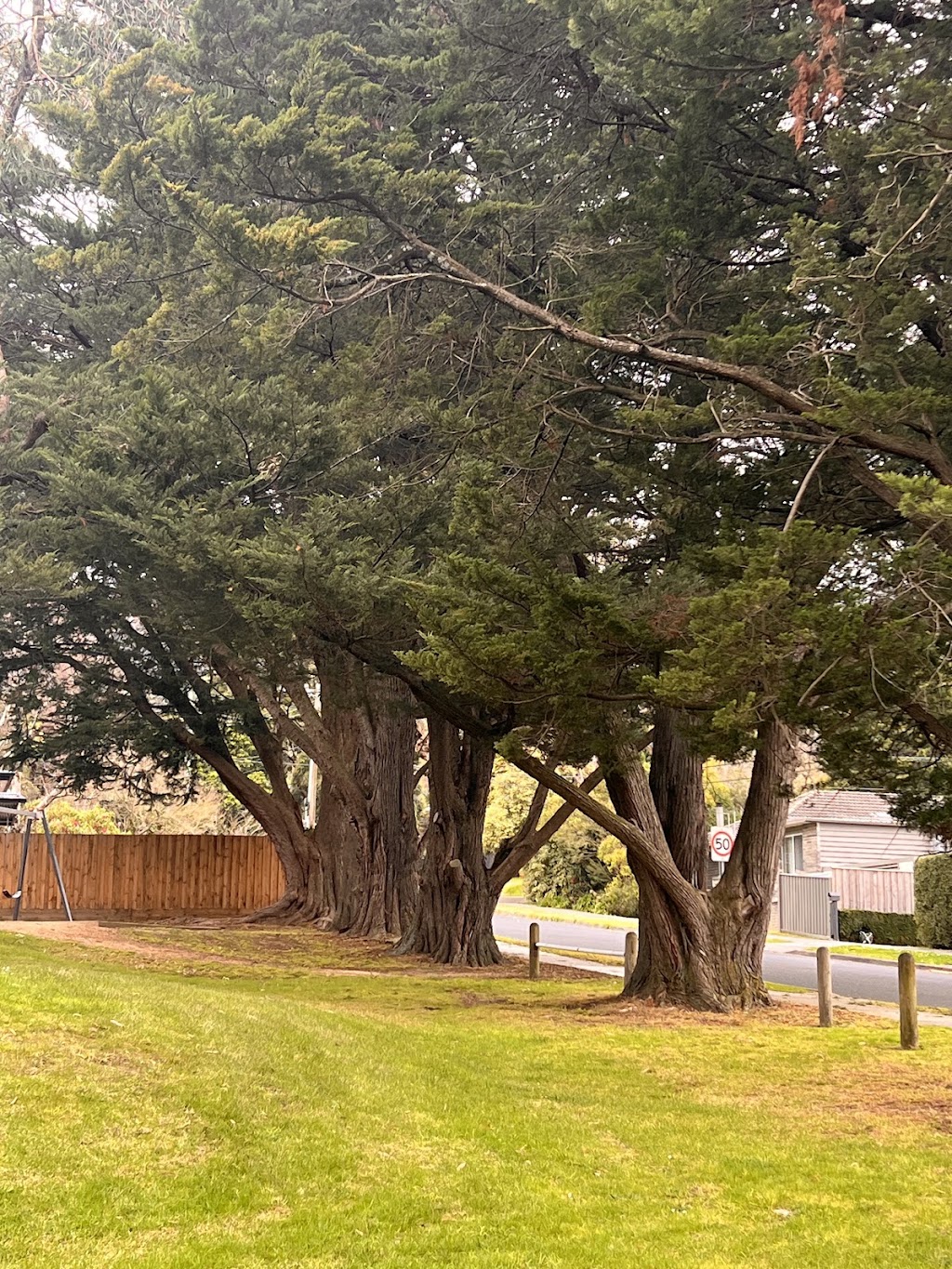 Rylstone Street Playground | 3 Rylstone St, Ferntree Gully VIC 3156, Australia | Phone: (03) 9758 3964