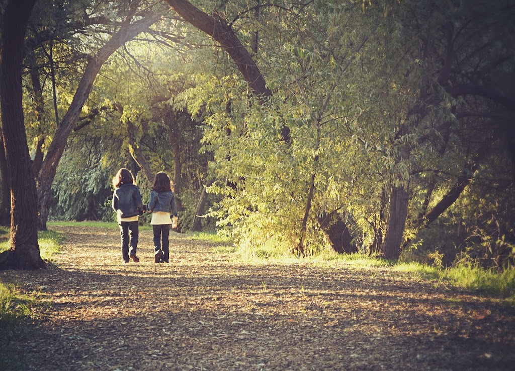 Bright Vista Counselling Service | 15 Knollbrook Cl, Highton VIC 3216, Australia | Phone: 0431 212 099