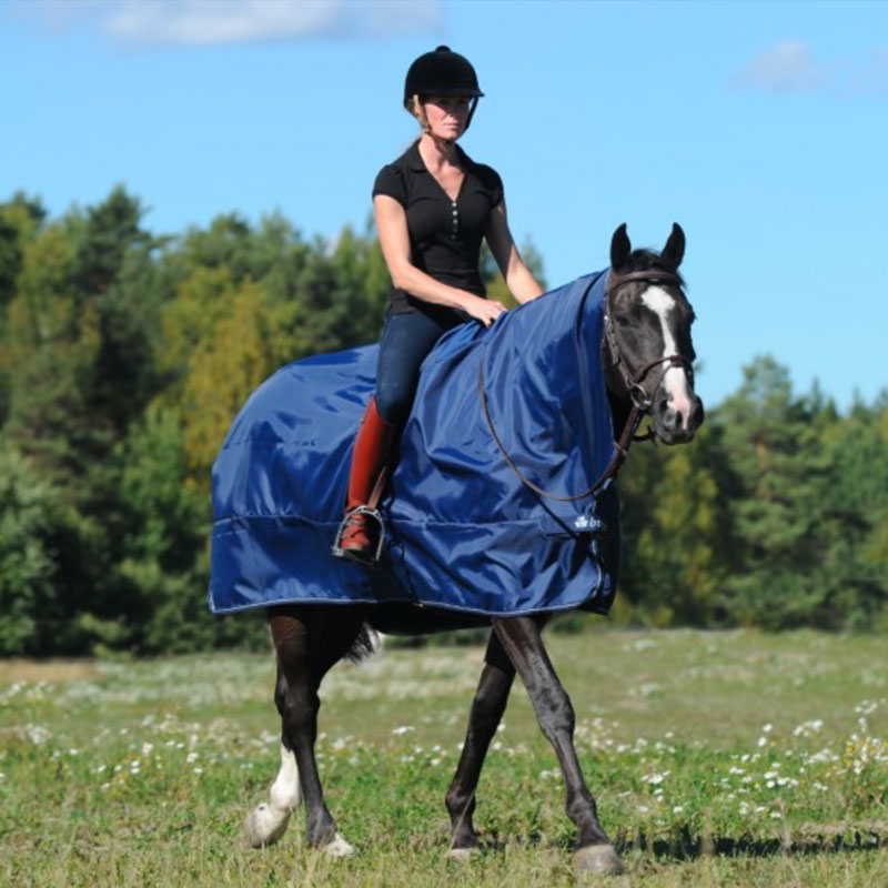 Bucas Horse Rugs Australia | store | 122 Wallaby Hill Rd, Robertson NSW 2577, Australia | 0248852406 OR +61 2 4885 2406