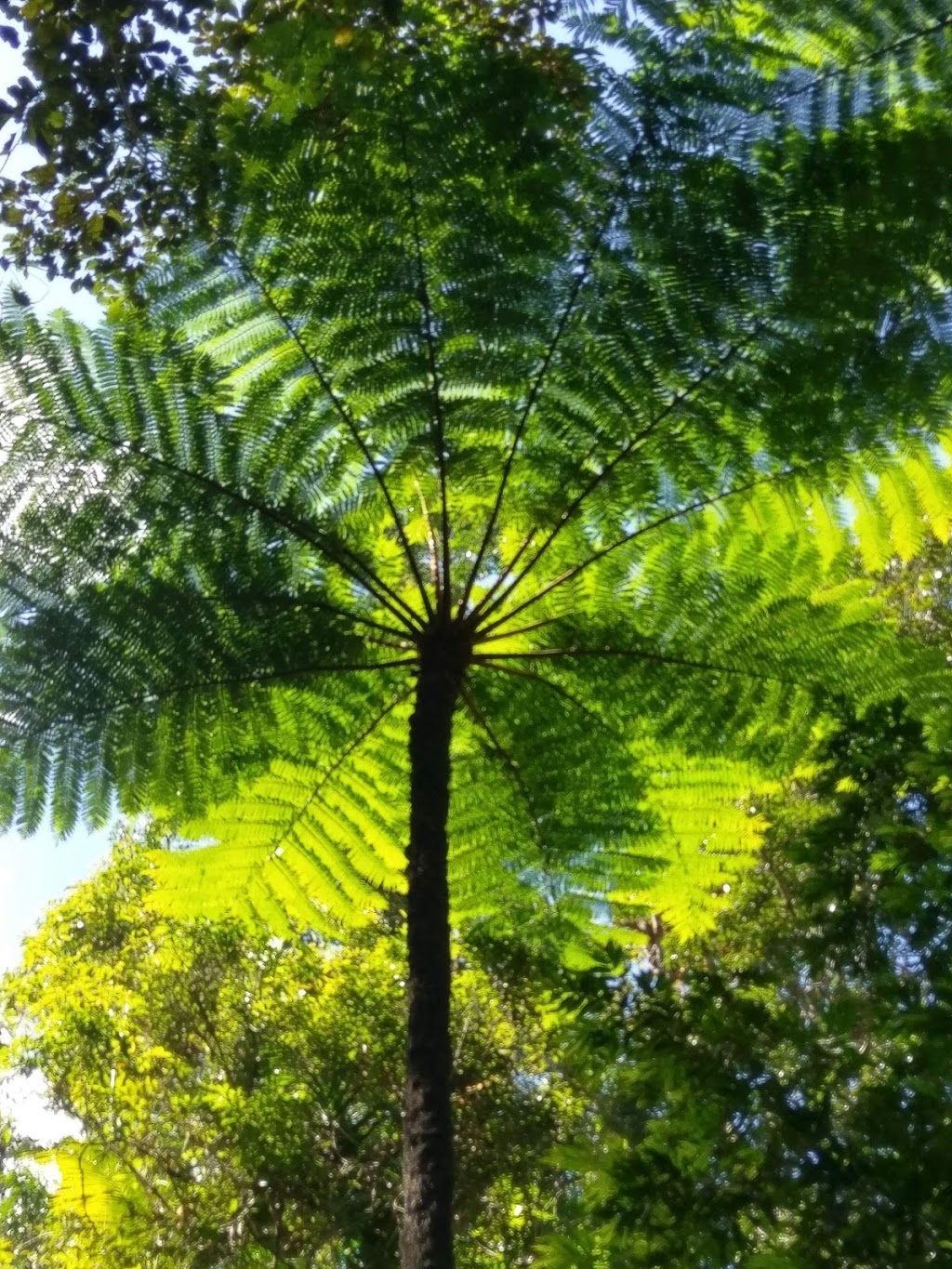 Rainforestation Nature Park | zoo | 1030 Kennedy Hwy, Kuranda QLD 4881, Australia | 0740855008 OR +61 7 4085 5008