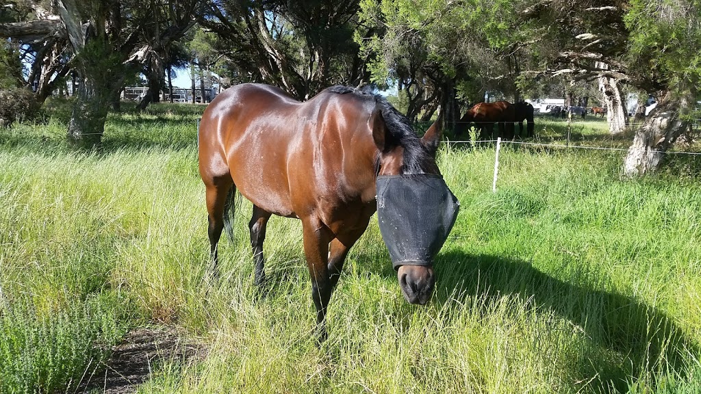 Capel Regional Equestrian Park | park | LOT 5602 Capel Tutunup Rd, Capel WA 6271, Australia