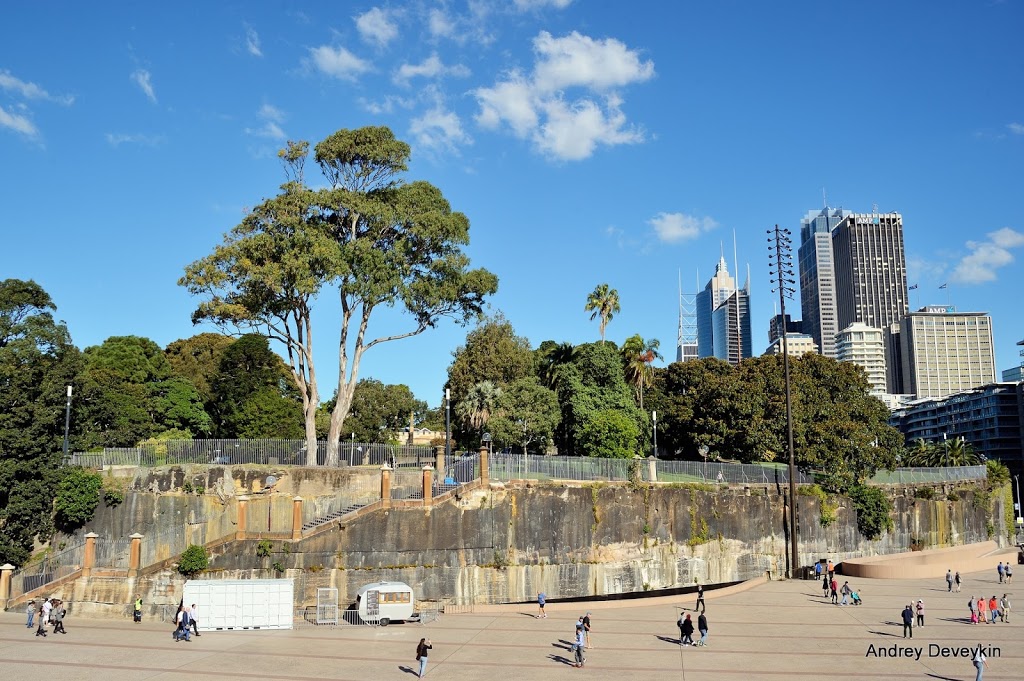 Tarpeian Precinct Lawn, Royal Botanic Garden | park | Royal Botanic Gardens, Macquarie St, Sydney NSW 2000, Australia | 0292318111 OR +61 2 9231 8111