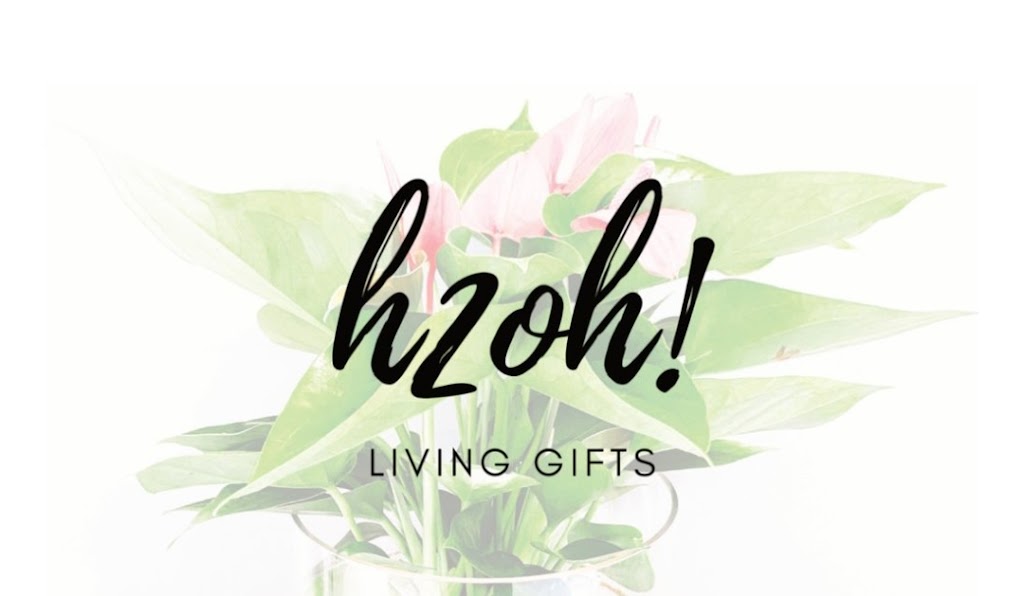 h2oh! Living Gifts | 11 Inverness Cl, Pakenham VIC 3810, Australia | Phone: 0438 056 763