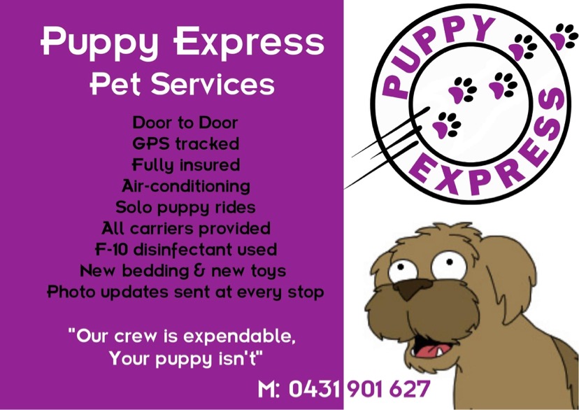 Puppy Express Pet Services | Hunter Region, Greta NSW 2334, Australia | Phone: 0431 901 627
