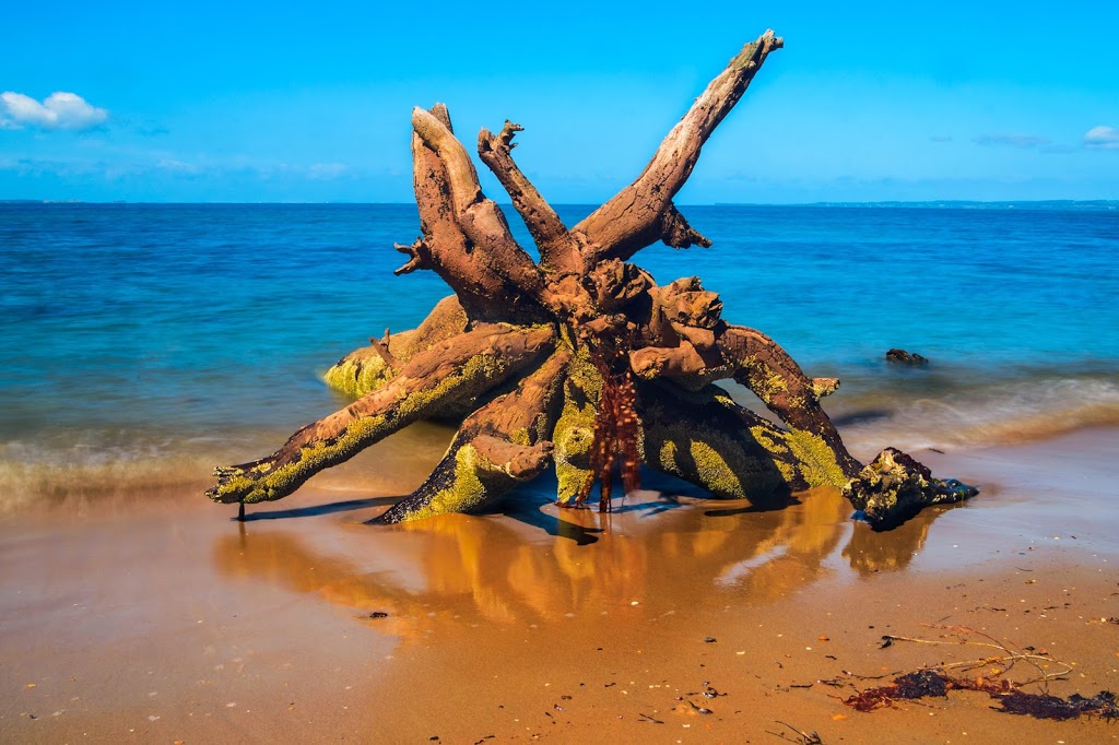 Somers Foreshore Reserve | Victoria, Australia