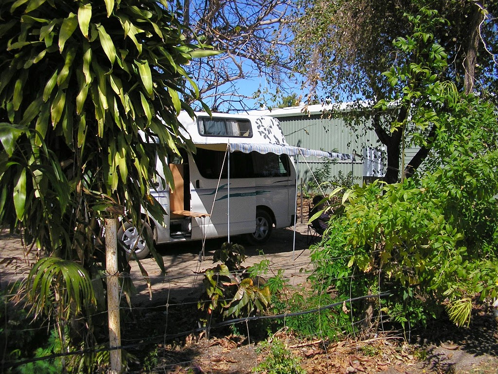 Calypso Campervan Rentals | car rental | 315 Sir Donald Bradman Dr, Adelaide SA 5008, Australia | 0398709277 OR +61 3 9870 9277