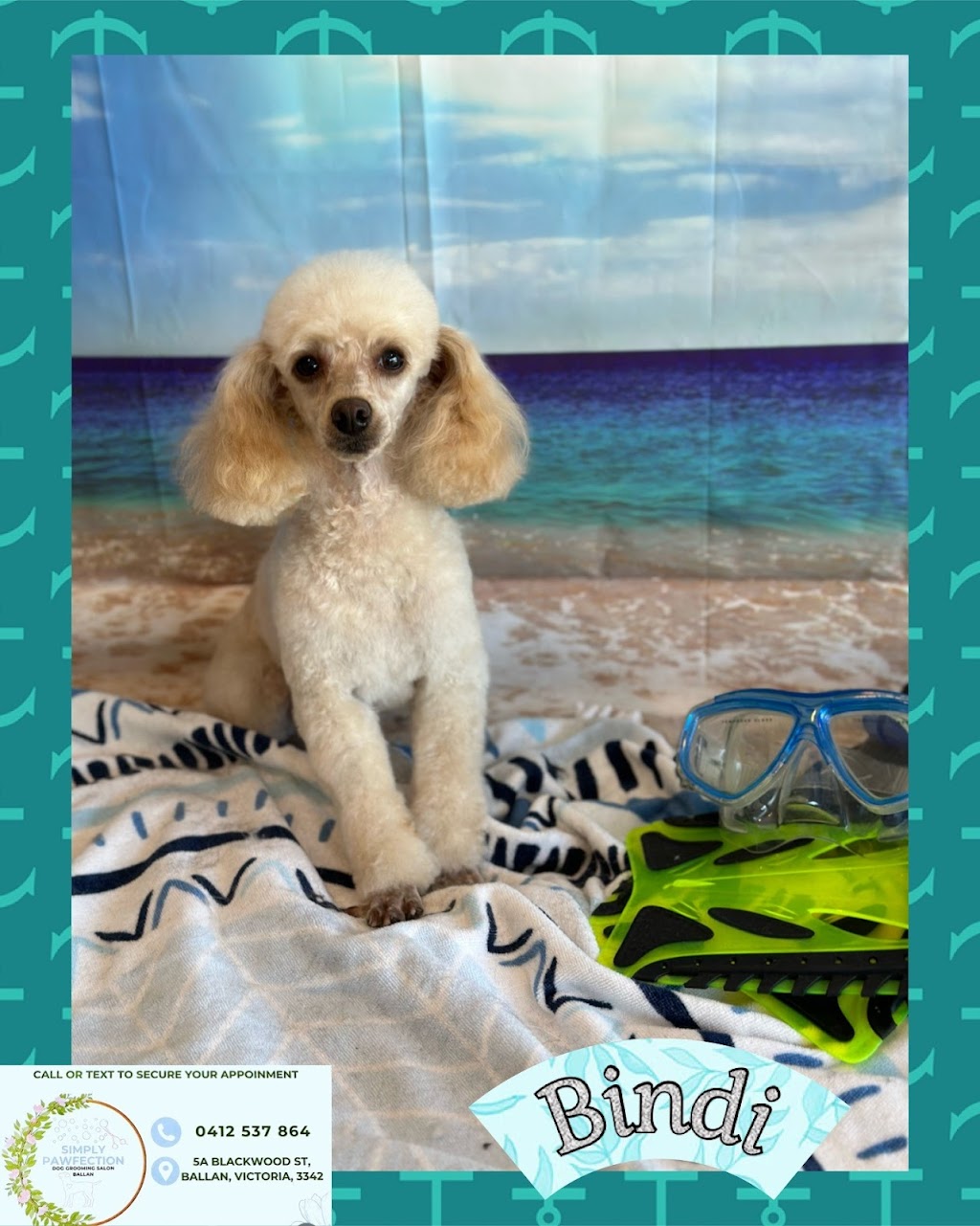 Simply Pawfection Dog Grooming Salon - Ballan | 5A Blackwood St, Ballan VIC 3342, Australia | Phone: 0412 537 864