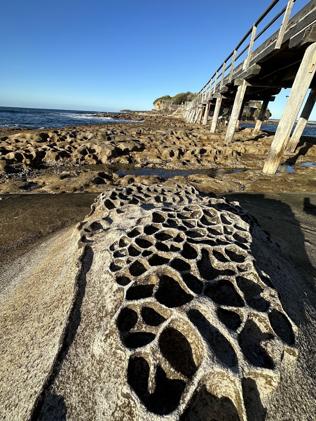 La Perouse Museum | 1609 Anzac Parade, La Perouse NSW 2036, Australia | Phone: (02) 9311 3379