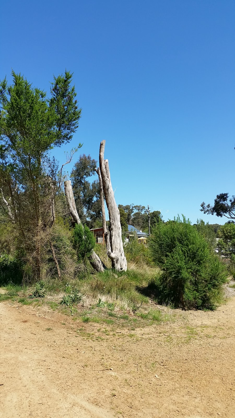 Red Hill Rail Trail | park | 155 Shoreham Rd, Red Hill South VIC 3937, Australia