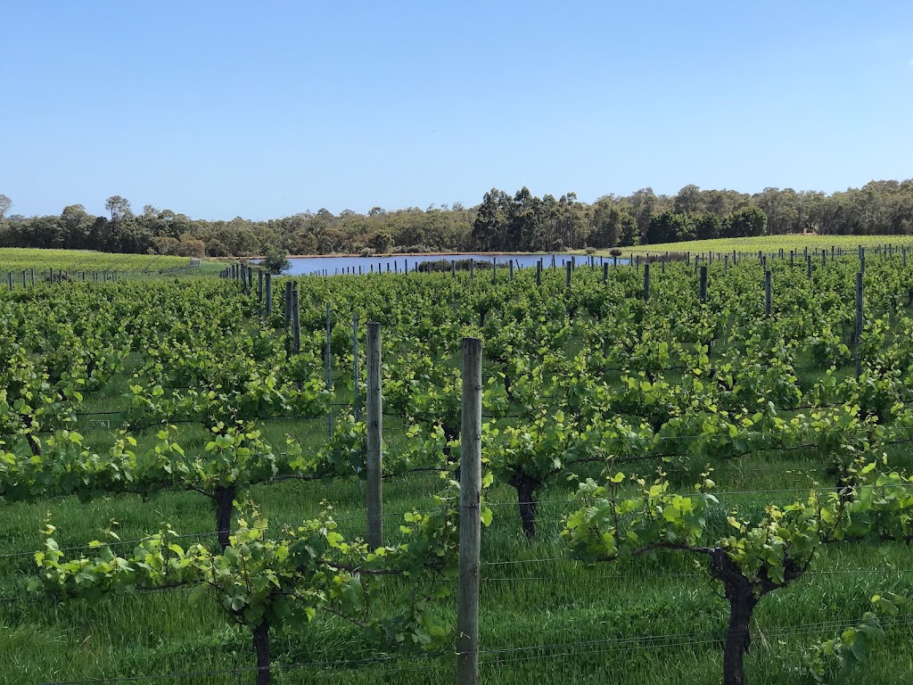 St Johns Brook Margaret River Winery | 283 Yelverton N Rd, Yelverton WA 6280, Australia | Phone: (08) 9528 5001