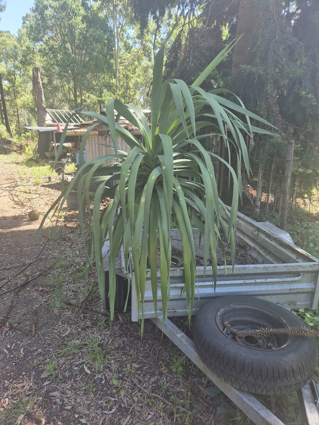 Hawkesbury green works | 826 Comleroy Rd, Kurrajong NSW 2758, Australia | Phone: 0476 111 151