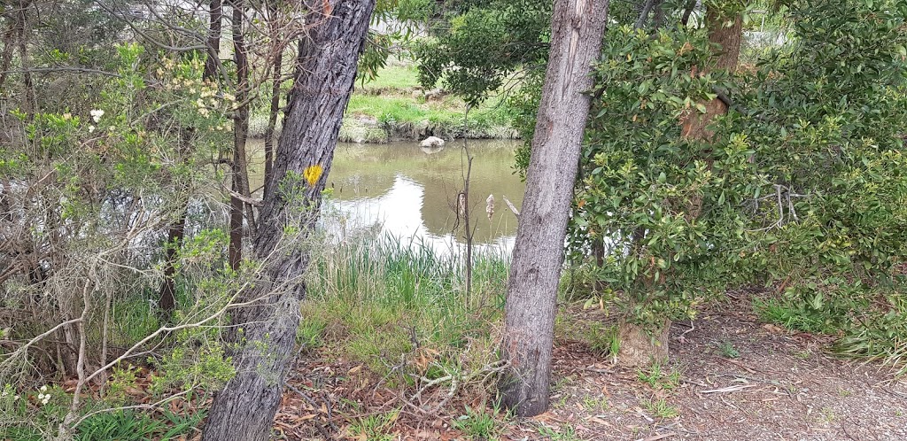 Brushy Creek Trail | park | 435 Maroondah Hwy, Croydon North VIC 3136, Australia