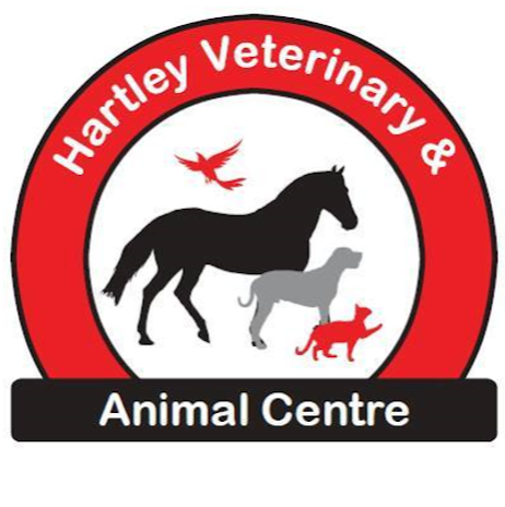 Hartley Veterinary & Animal Centre | veterinary care | 5 Baaners Ln, Little Hartley NSW 2790, Australia | 0263552272 OR +61 2 6355 2272