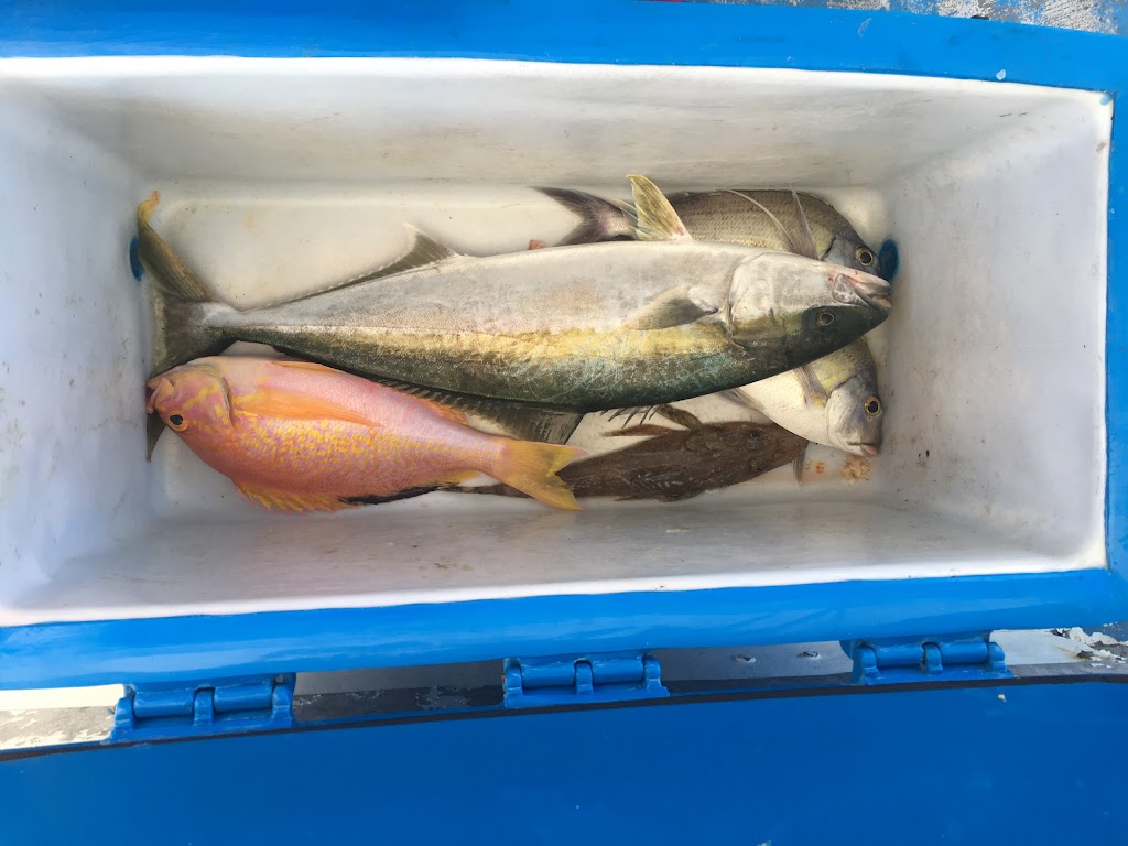 Blue Reef Fishing Charters | Sydney NSW Thames Street ferry wharf, Balmain NSW 2041, Australia | Phone: 0404 242 234