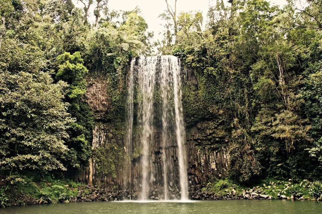 Millaa Millaa Falls Park | park | Millaa Millaa QLD 4886, Australia