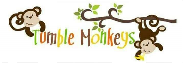 Tumble Monkeys | school | 93 Manifold Rd, North Casino NSW 2470, Australia | 0266625599 OR +61 2 6662 5599