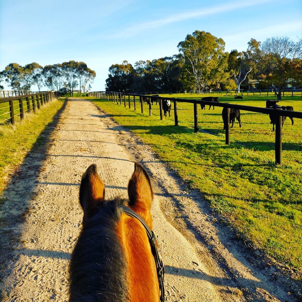 Glenwood Farm Equestrian Centre |  | 2825 Midland Hwy, Swanpool VIC 3673, Australia | 0434130252 OR +61 434 130 252
