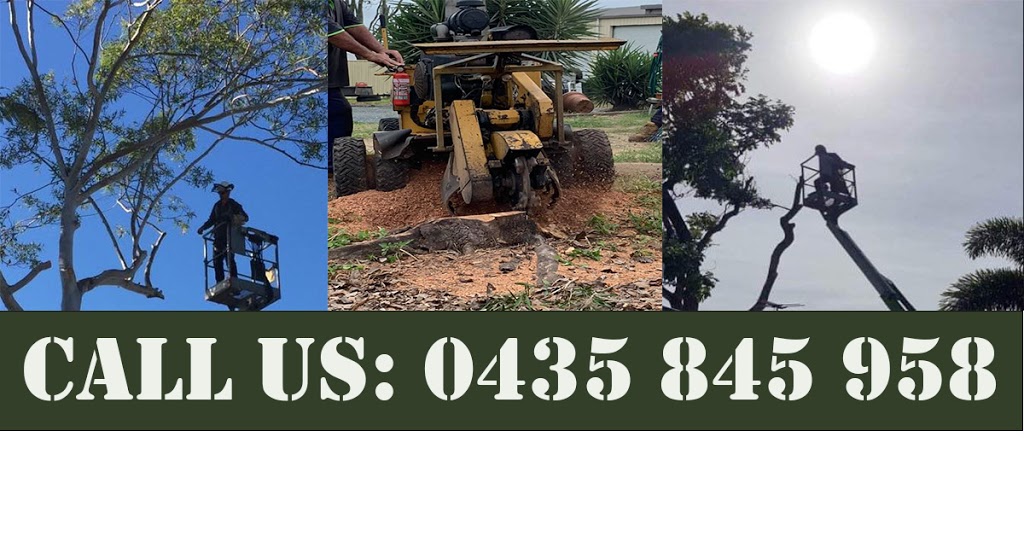 Mackay Arbor and landscaping | 131 Paradise St, South Mackay QLD 4740, Australia | Phone: 0435 845 958
