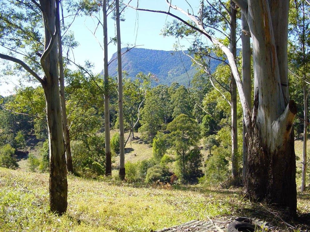 Calurla Chalets | lodging | Lillian Rock Rd, Nimbin NSW 2480, Australia | 0266897297 OR +61 2 6689 7297