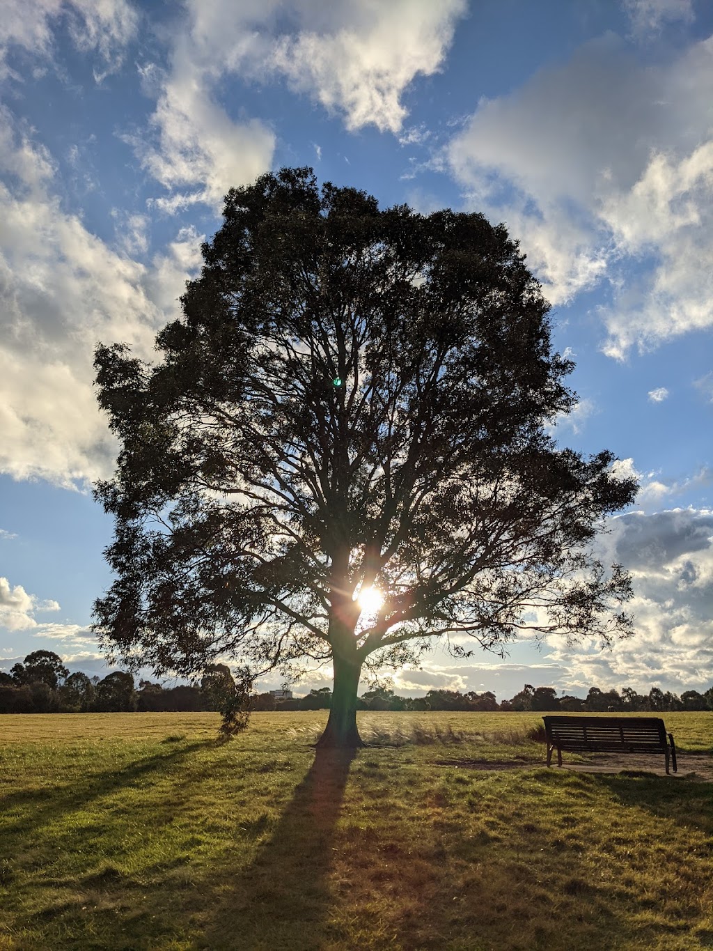 Royal Park Nature Play Playground | 28 Gatehouse St, Parkville VIC 3052, Australia | Phone: (03) 9658 9658