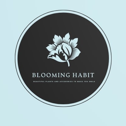 Blooming Habit |  | Harrow Glen, 33 Missingham Parade, Robertson NSW 2577, Australia | 0423930090 OR +61 423 930 090