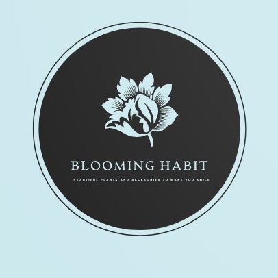 Blooming Habit | Harrow Glen, 33 Missingham Parade, Robertson NSW 2577, Australia | Phone: 0423 930 090