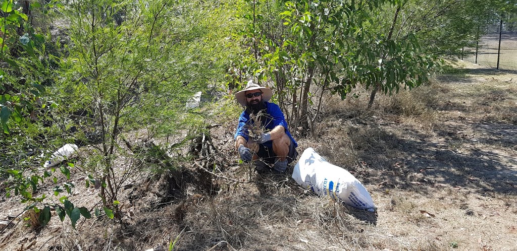 Lavelle Lagoon Community Bushcare Group | Argyle Rd, Greenbank QLD 4124, Australia | Phone: 0466 542 275