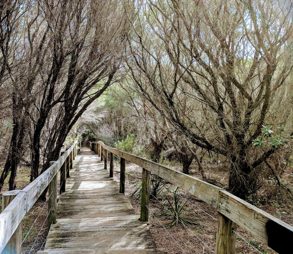 Weemala Wetlands & Beach Access | park | Budgewoi NSW 2262, Australia