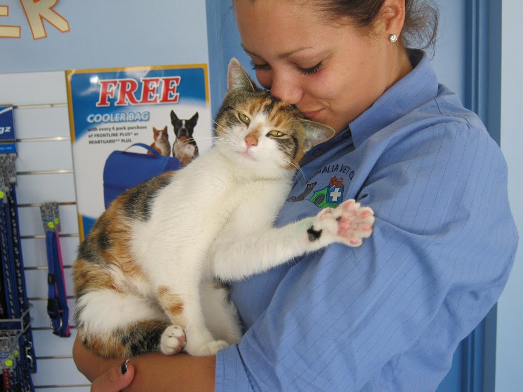 Animalia Vet Clinic | veterinary care | 1 Main N Rd, Evanston SA 5116, Australia | 0885231133 OR +61 8 8523 1133