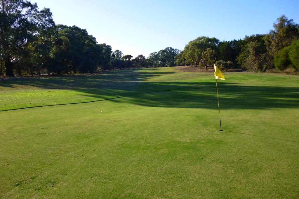 Swan Reach Golf Club | 187 Nildottie Rd, Swan Reach SA 5354, Australia | Phone: (08) 8570 2340