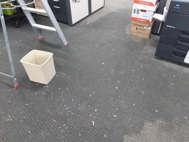 Carpet Water Damage Warehouse | 26 Station St, Dundas NSW 2117, Australia | Phone: 0428 997 684