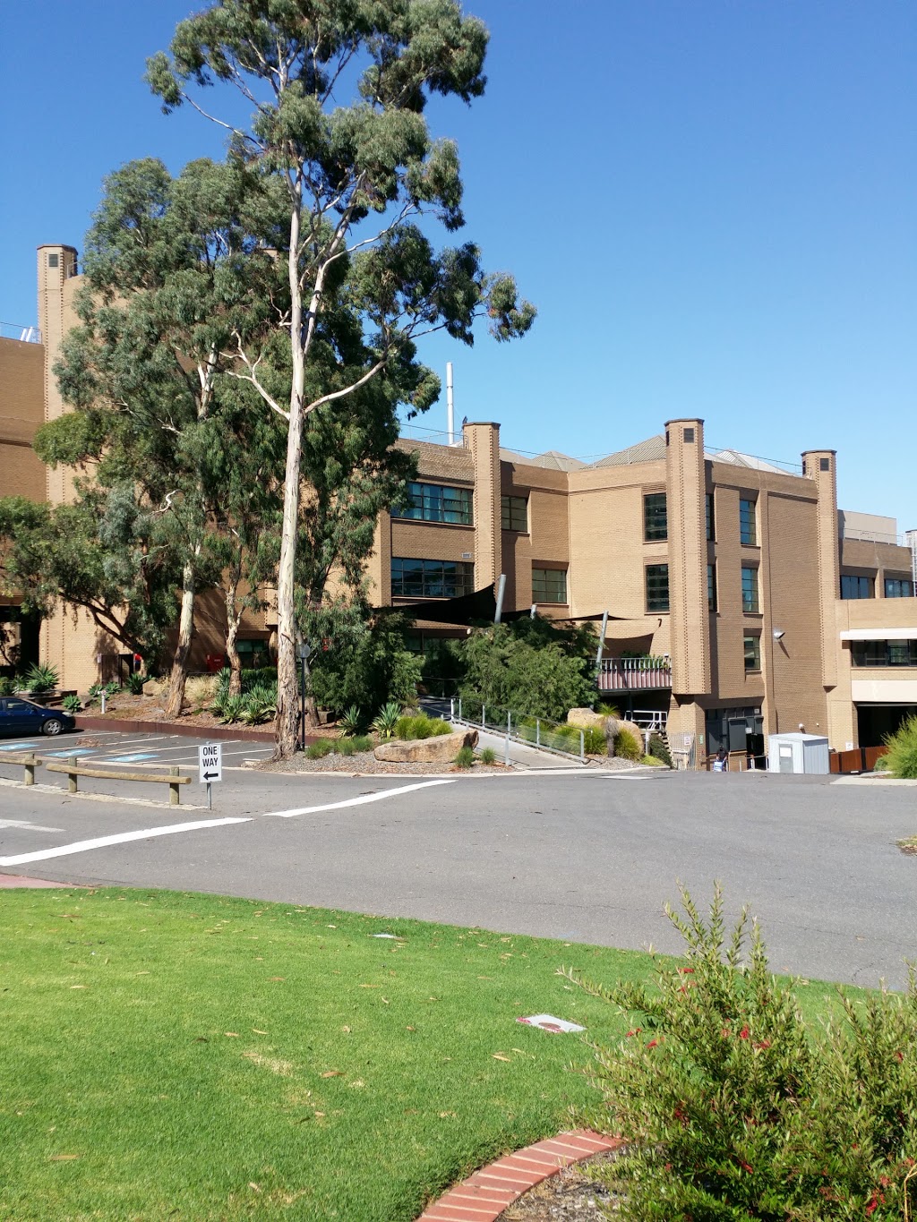 La Trobe University Bendigo Campus | university | 199, Edwards Rd, Flora Hill VIC 3552, Australia | 0354447222 OR +61 3 5444 7222