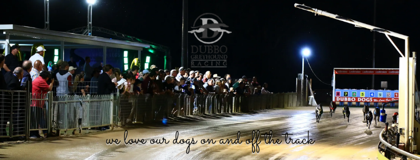 Dubbo Greyhound Racing Club | 500 Wheelers Ln, Dubbo NSW 2830, Australia | Phone: (02) 6884 2571