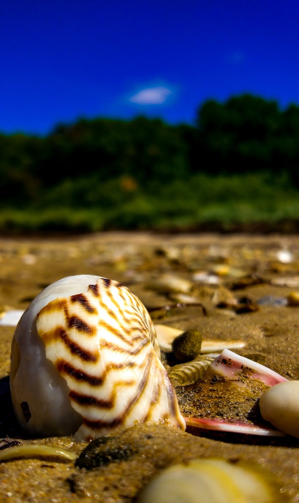 Shallow Inlet Marine & Coastal Park | Victoria, Australia