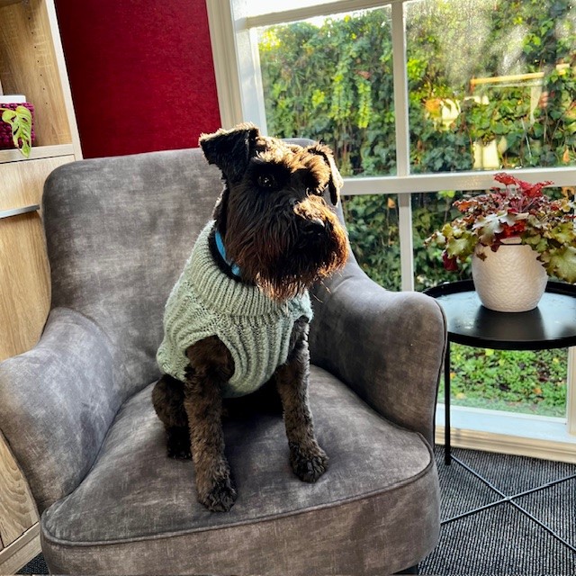 Proactive Finance Group | 38 Myrtle St, Bendigo VIC 3550, Australia | Phone: (03) 4418 3444 Proactive Finance Group | 38 Myrtle St, Bendigo VIC 3550, Australia | Phone: (03) 4418 3444