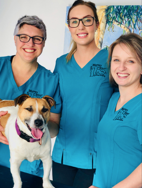 Murray River Animal Hospital | veterinary care | 2/12 Moorefield Park Dr, West Wodonga VIC 3690, Australia | 0260541838 OR +61 2 6054 1838