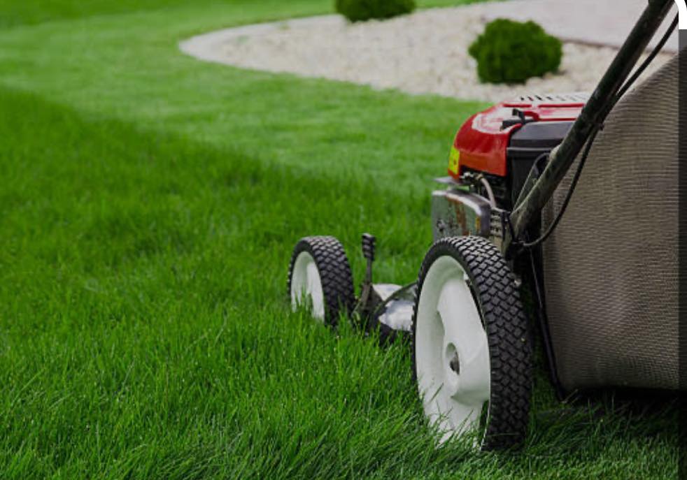 Pulse Lawn Mowing Carlingford | 5 Chestnut Ave, Telopea NSW 2117, Australia | Phone: 0447 428 121