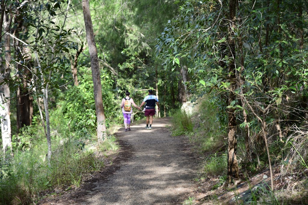 Mount Beerburrum Walking Track | tourist attraction | Beerburrum QLD 4517, Australia | 0754943983 OR +61 7 5494 3983