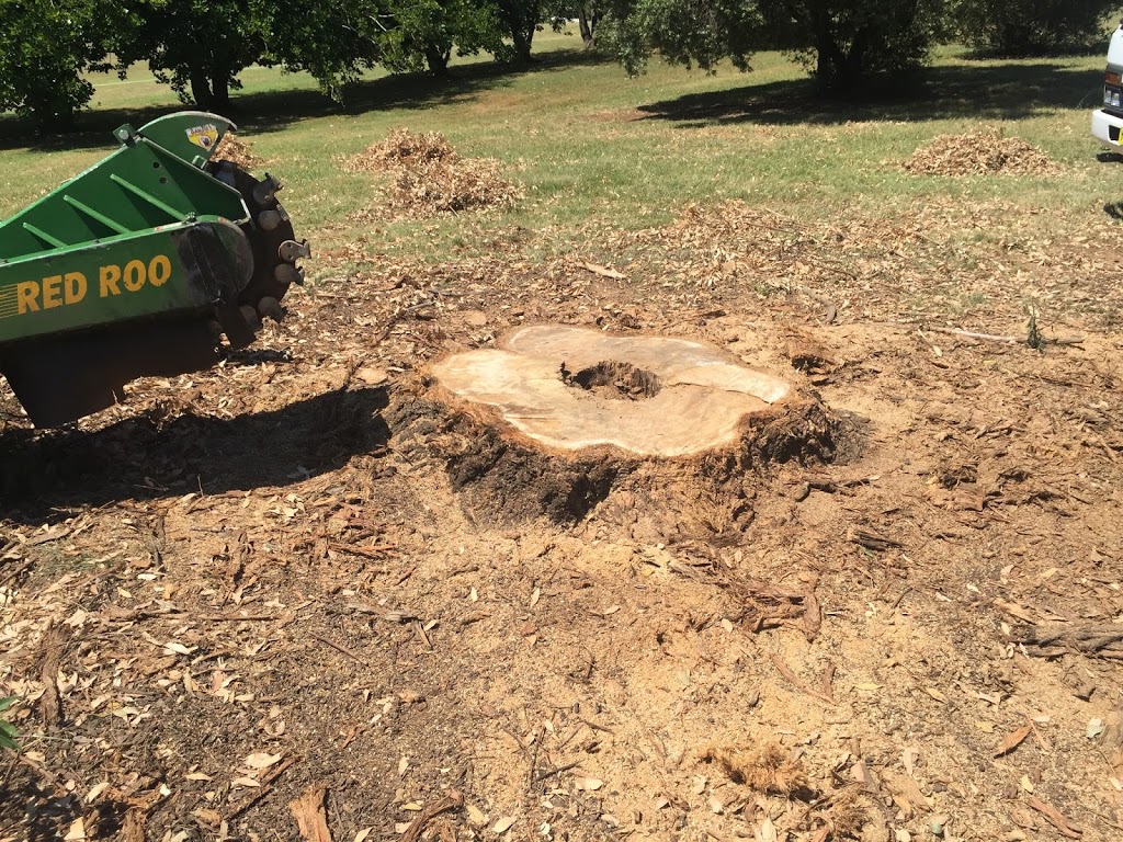 Stump Removal Sydney - Stump Grinding | 13 Antares Pl, Cranebrook NSW 2749, Australia | Phone: 0402 887 920