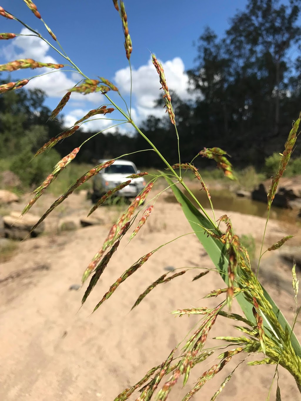 Lockyer National Park | park | Helidon QLD 4344, Australia